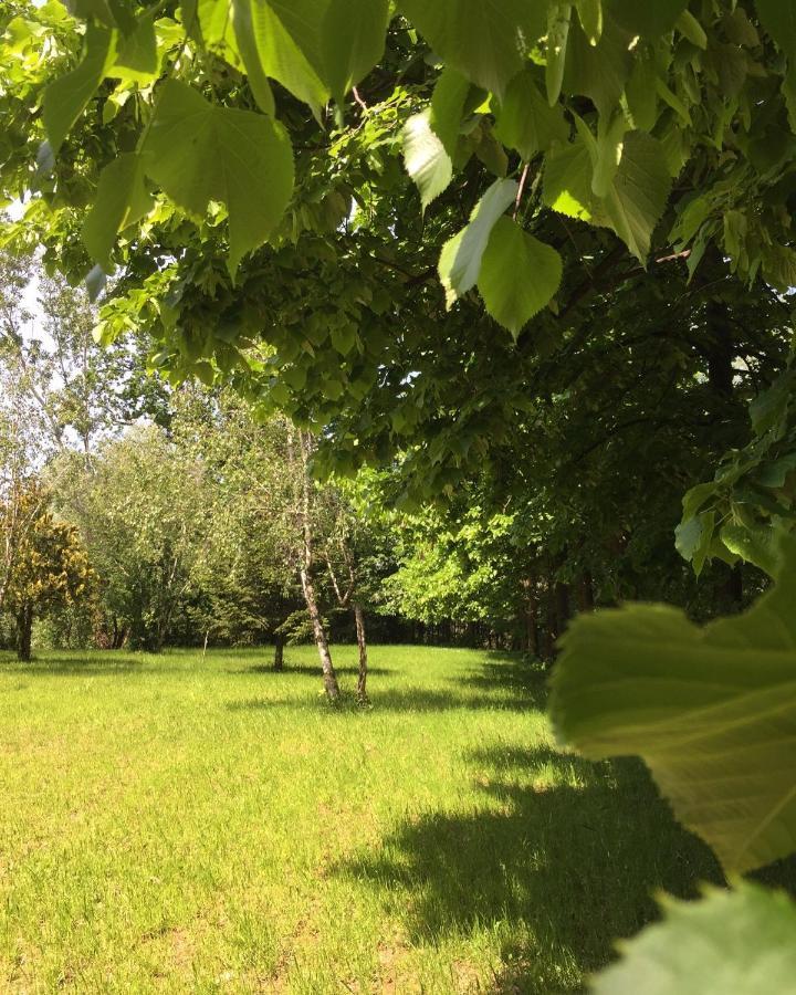 Happy Hill - Appartamento Bambu- Natura E Relax Santa Maria Rocca Luaran gambar