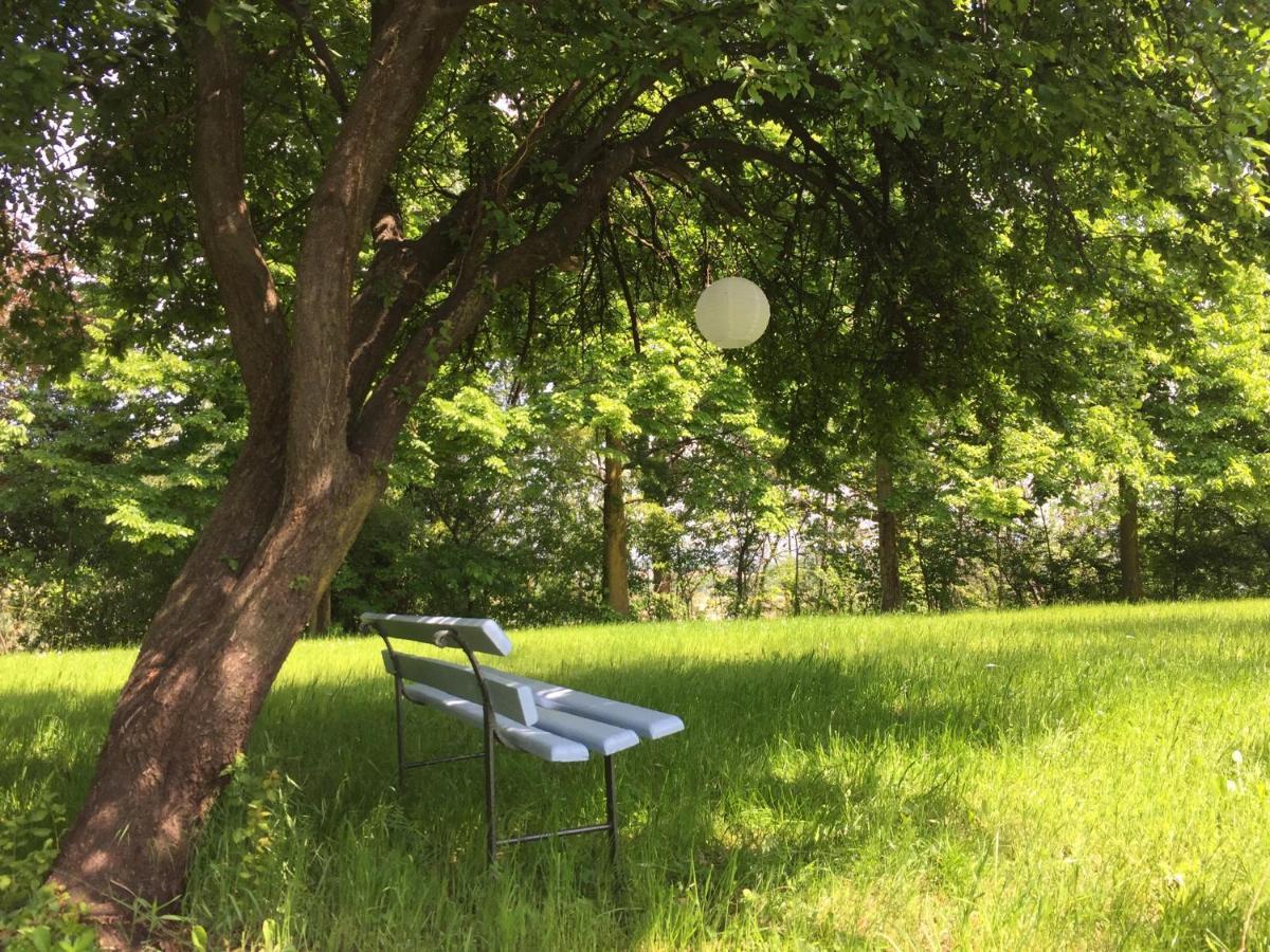 Happy Hill - Appartamento Bambu- Natura E Relax Santa Maria Rocca Luaran gambar